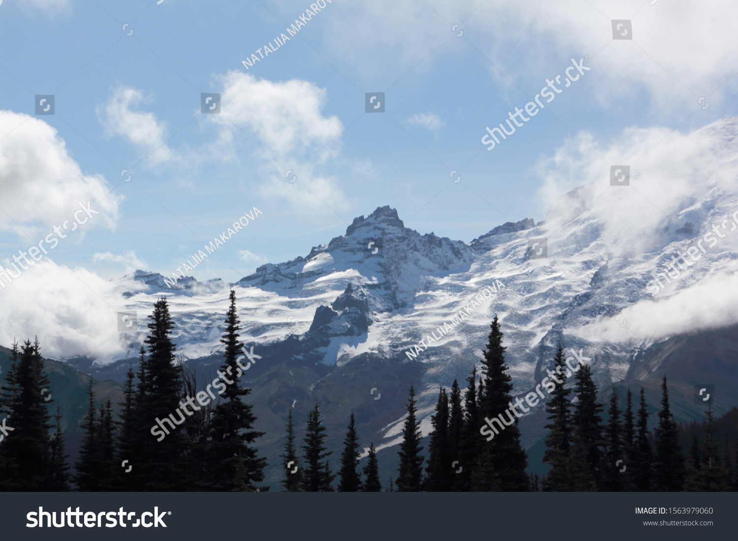 View of Mount Rainir slope, Washington State, USA  #1563979060