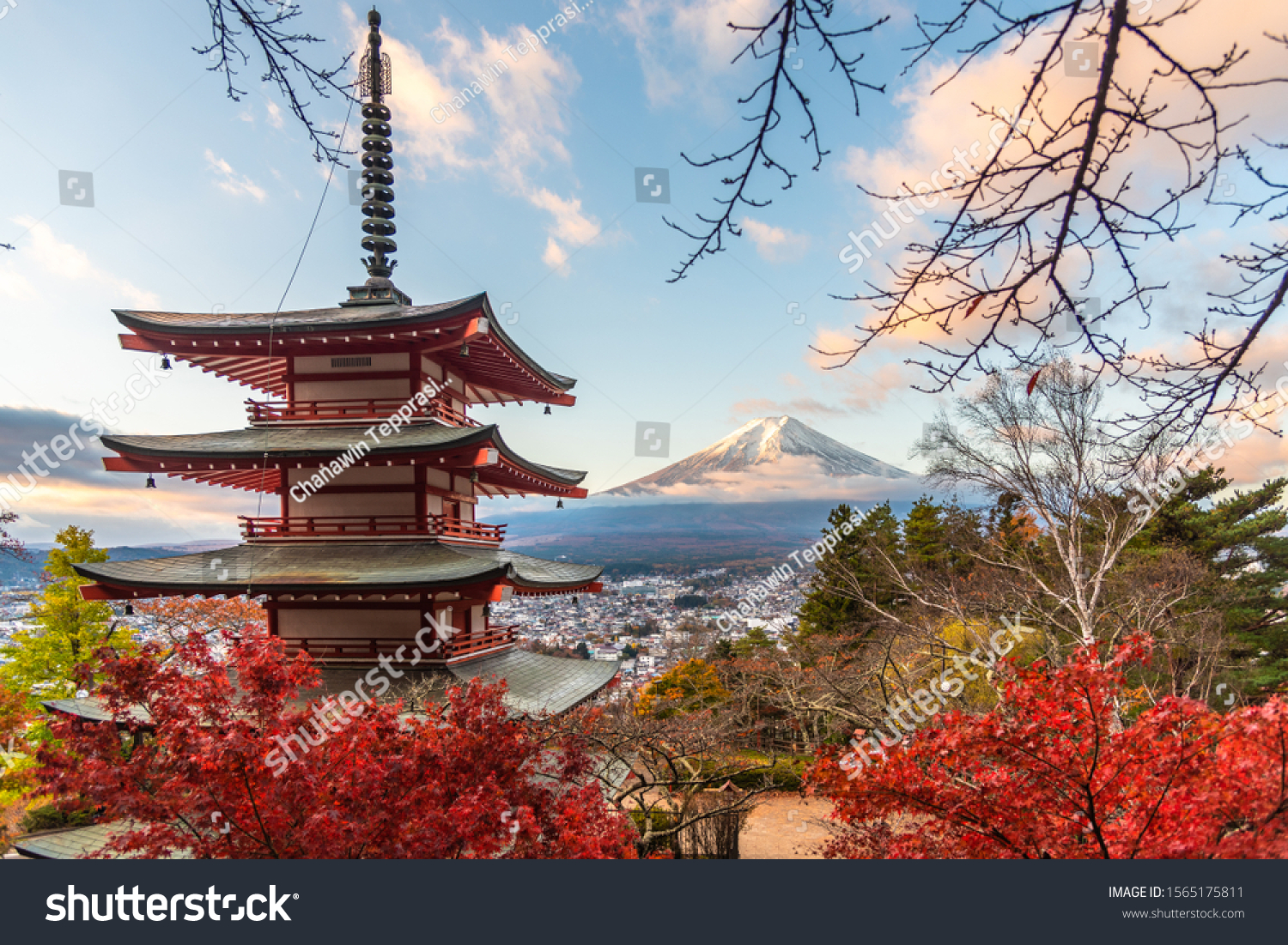 Chureito Pagoda, Mount Fuji and city in morning, in autumn season at Arakurayama Sengen Park (Fujiyoshida, Yamanashi Prefecture, Japan) #1565175811