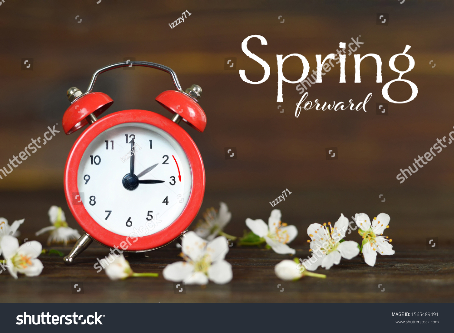 Spring forward. Daylight Saving Time. Summer time change  #1565489491