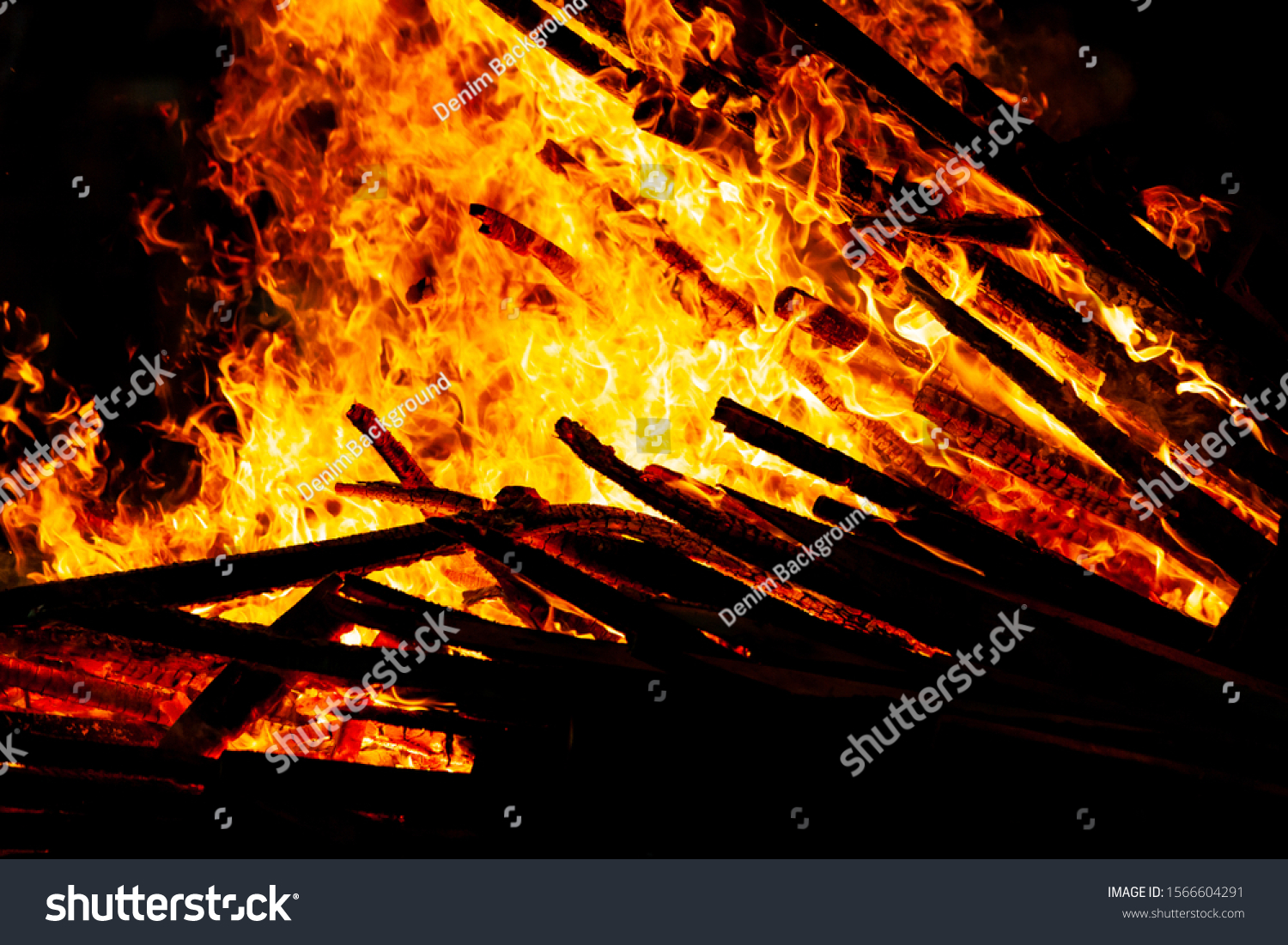 Bonfire that burns on a dark background, wood burning flame. #1566604291