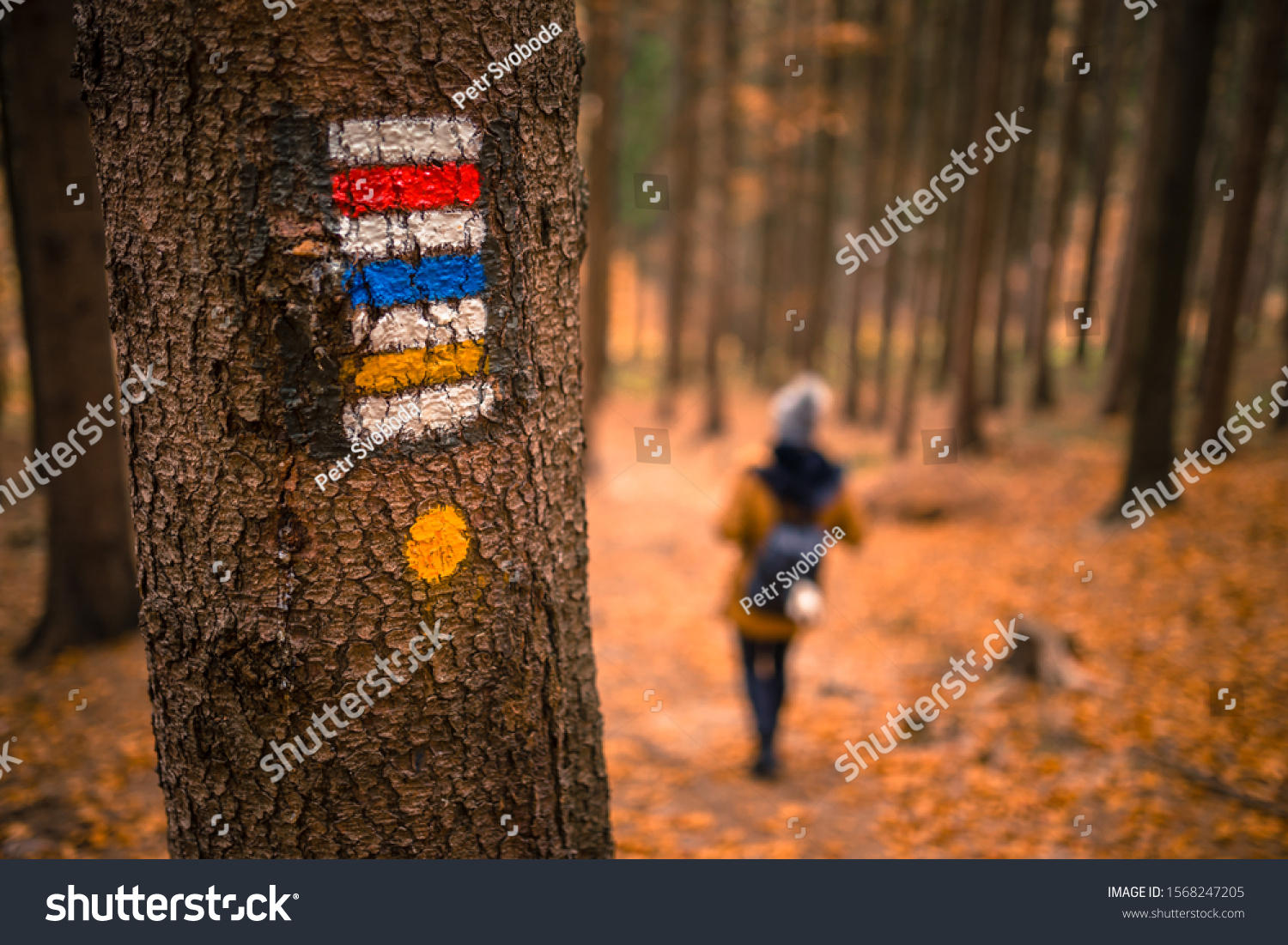 Touristic sign or mark on tree next to touristic path with female tourist in background. Nice autumn scene. Forrest trail. #1568247205