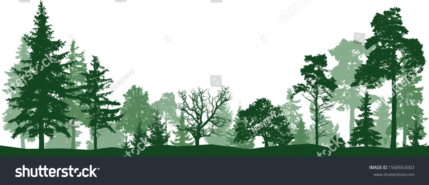 Tree forest vector silhouette. Isolated set #1568563003