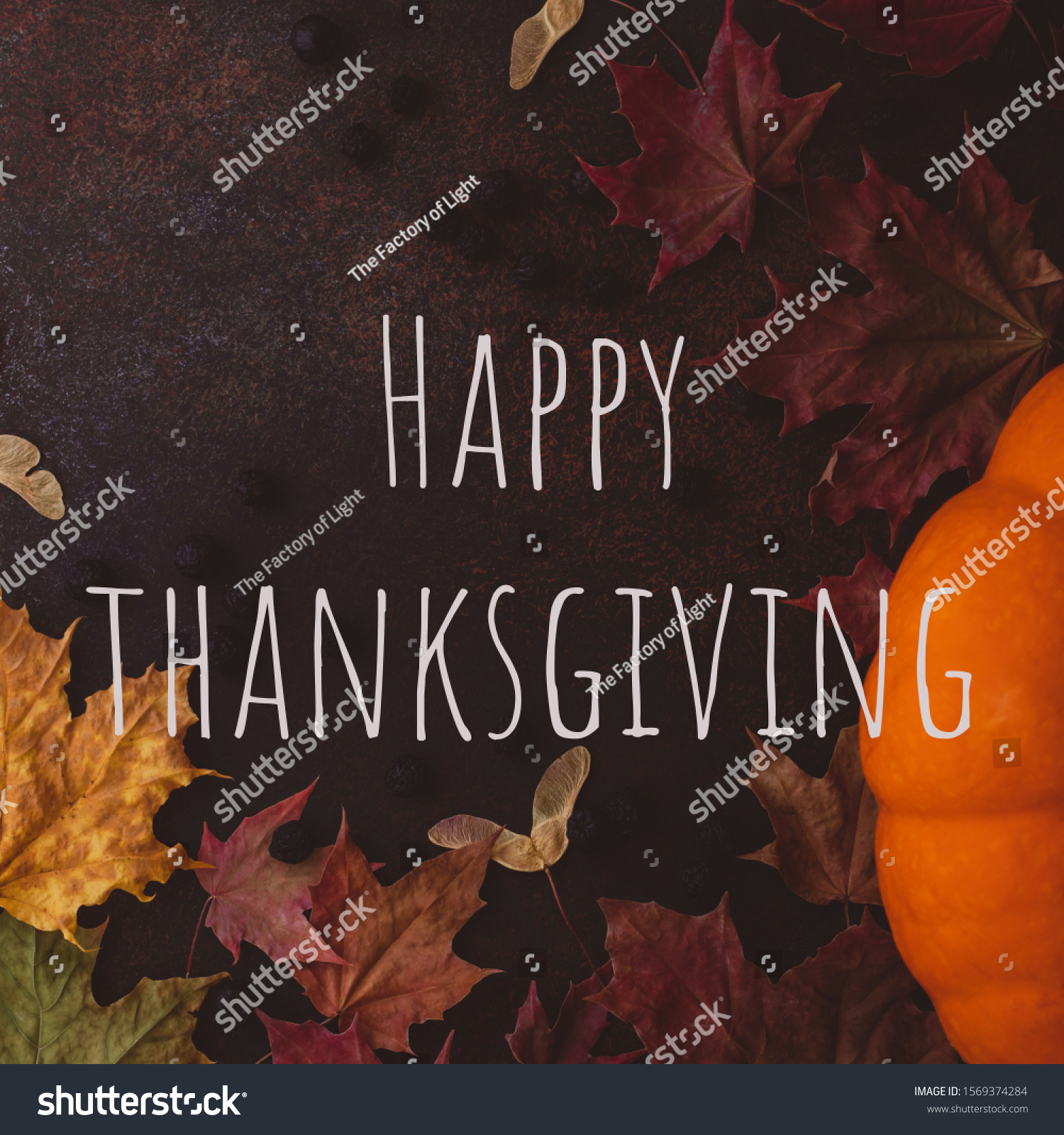 Happy thanksgiving text. Greeting card. Autumn leaves. #1569374284