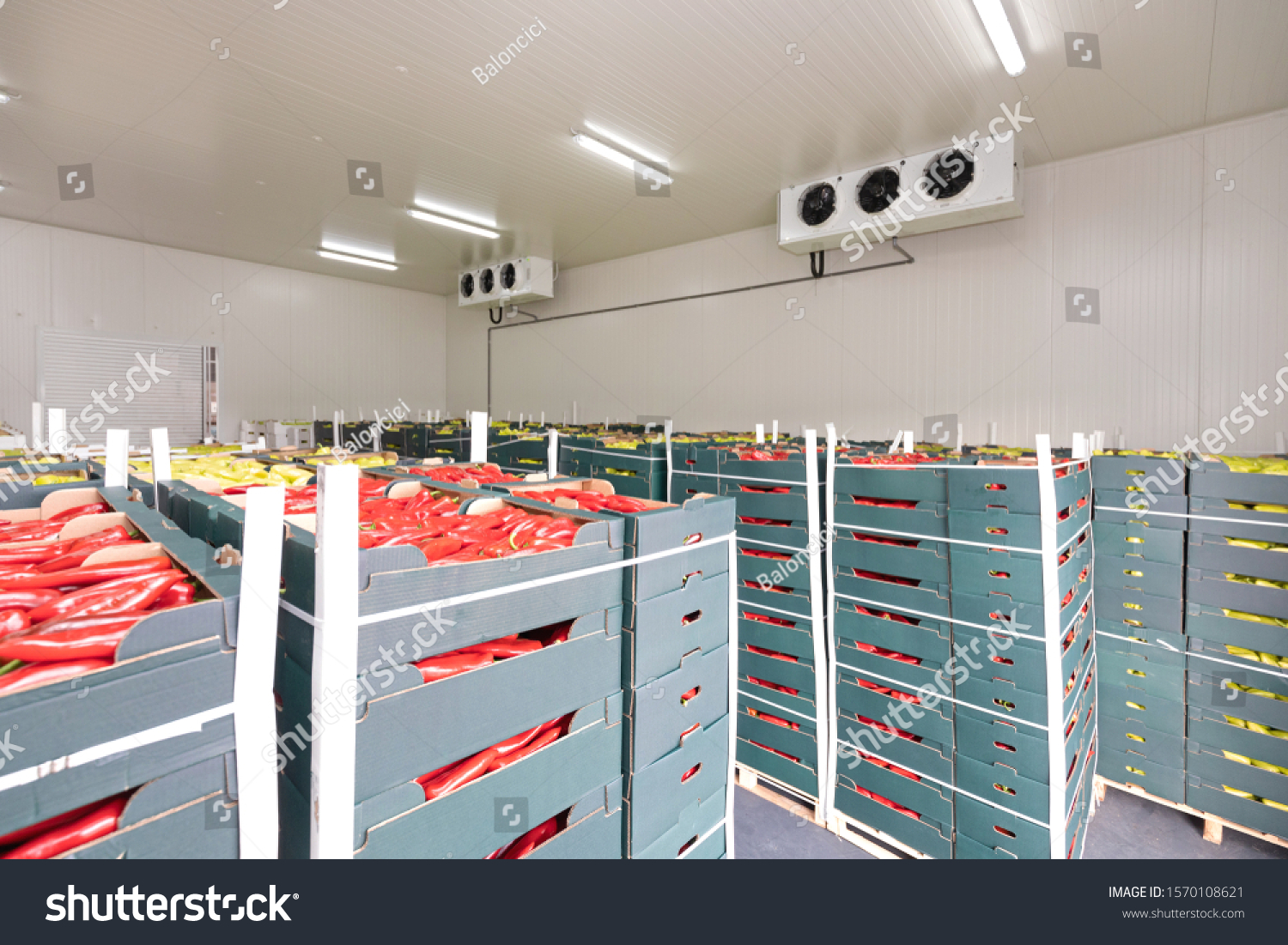 Peppers Vegetables in Boxes in Distribution Warehouse #1570108621