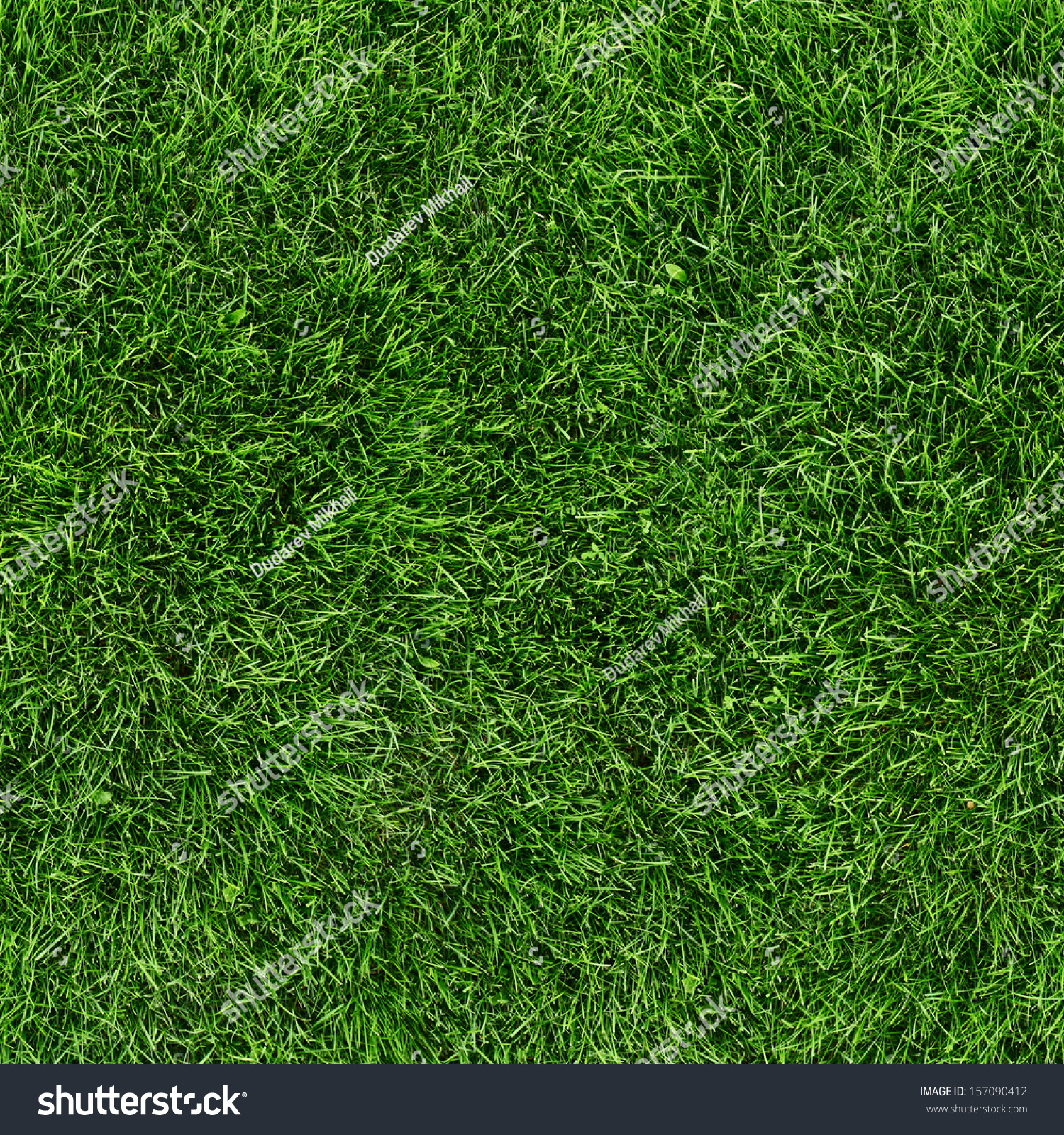 Green grass seamless texture. Seamless in only horizontal dimension. #157090412