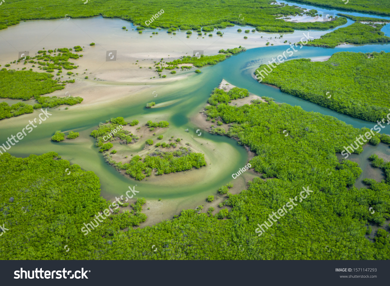 Senegal Mangroves. Aerial view of mangrove forest in the  Saloum Delta National Park, Joal Fadiout, Senegal. Photo made by drone from above. Africa Natural Landscape. #1571147293