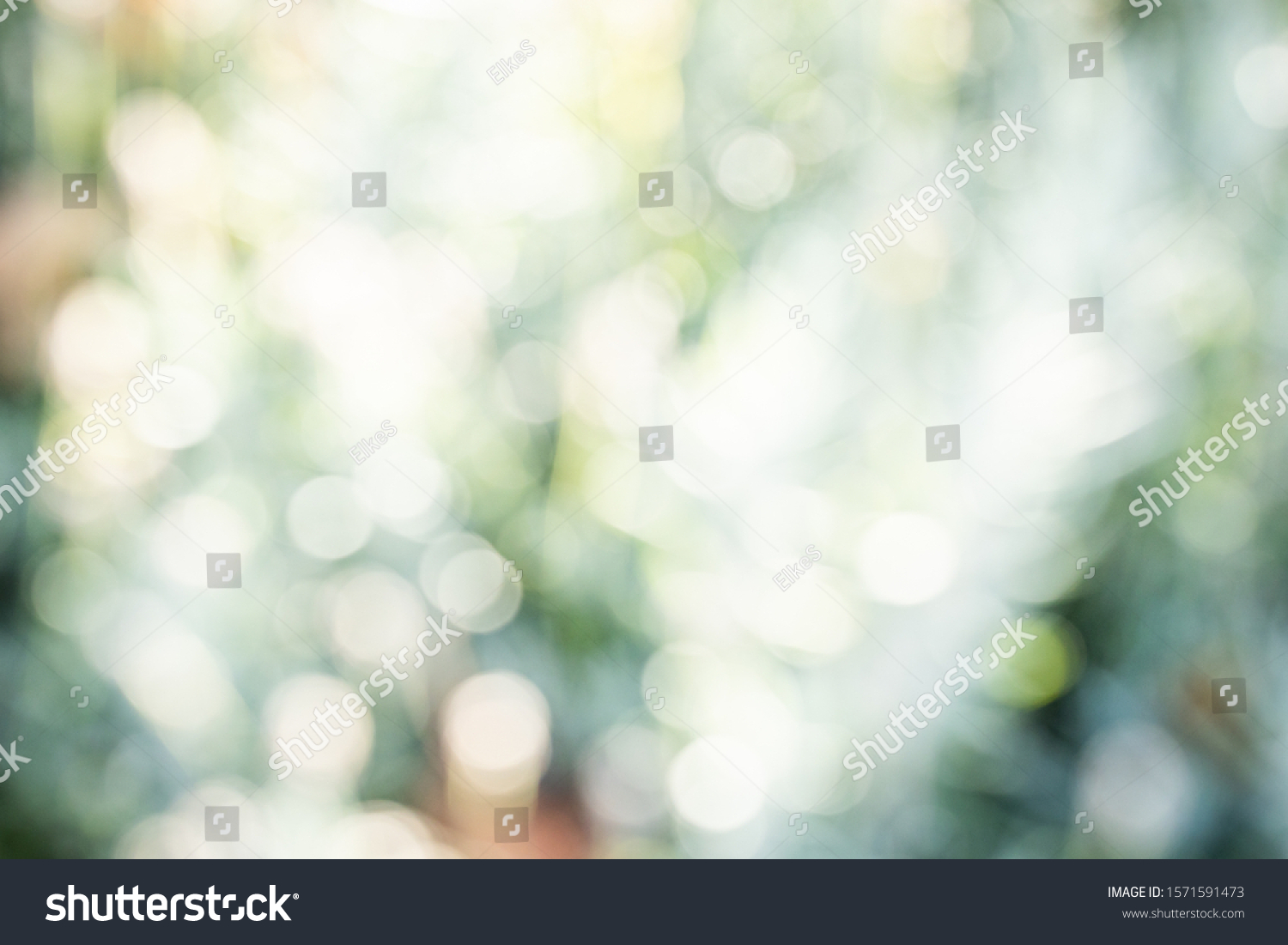 Green bokeh on nature defocus art abstract blur background. Blurred and defocused effect spring concept for design. #1571591473