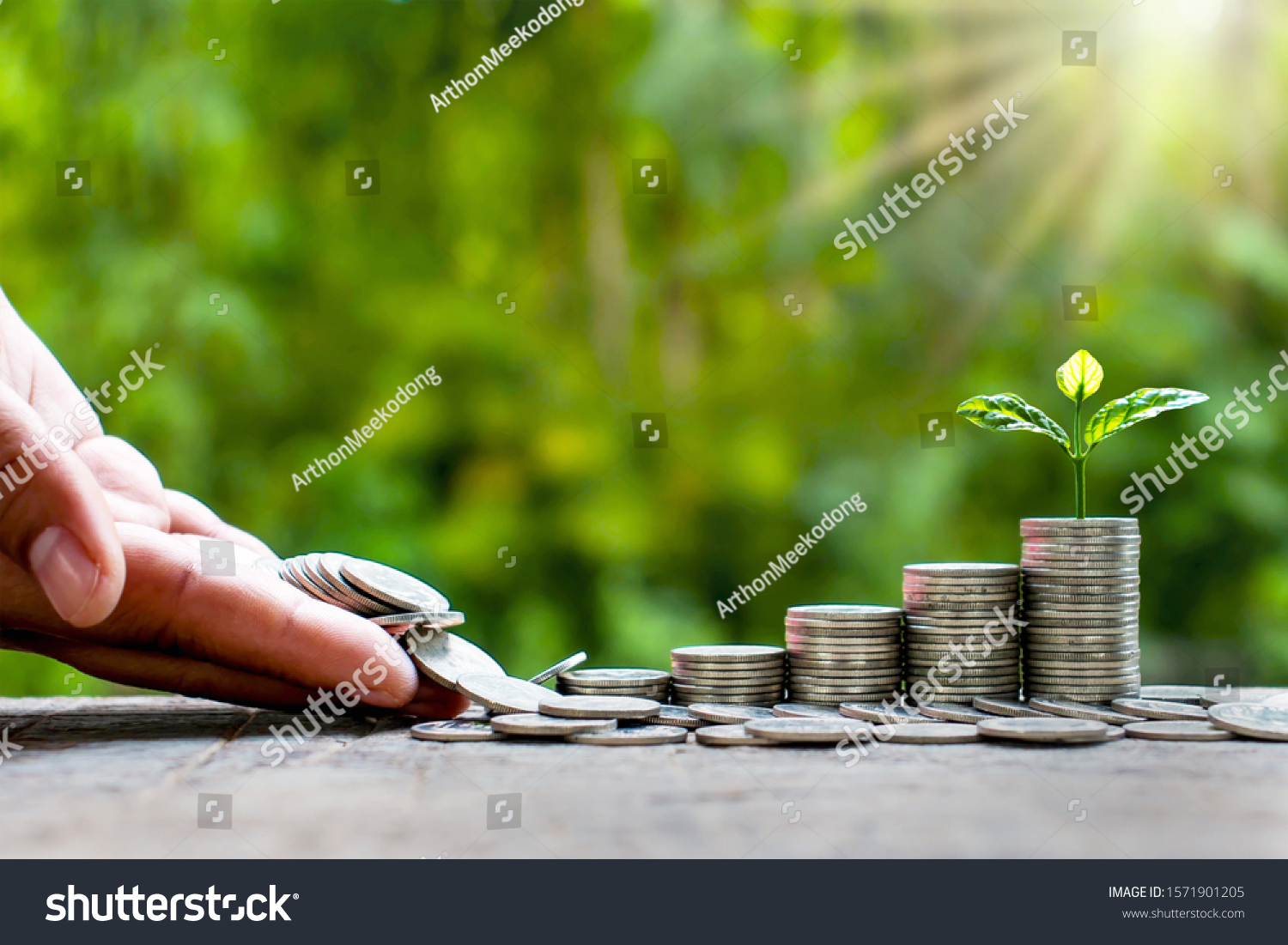 Small tree that grows at various levels of coins, financial concepts, saving money and investing. #1571901205