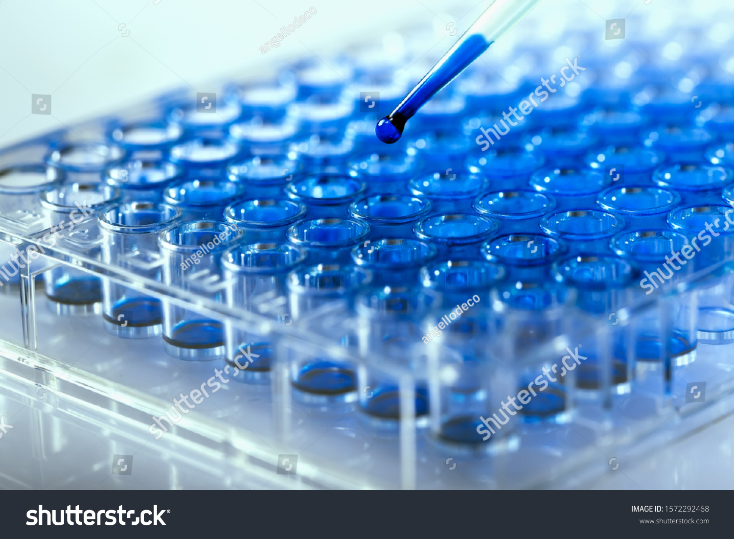 Scientist holding a 96 well plate with samples for biological analysis / Researcher pipetting samples of liquids in microplate for biomedical research #1572292468
