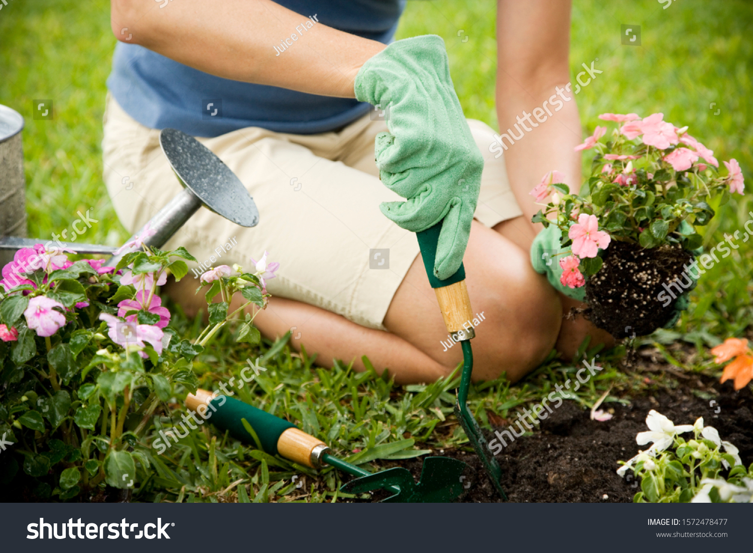 cropped image of woman gardening
