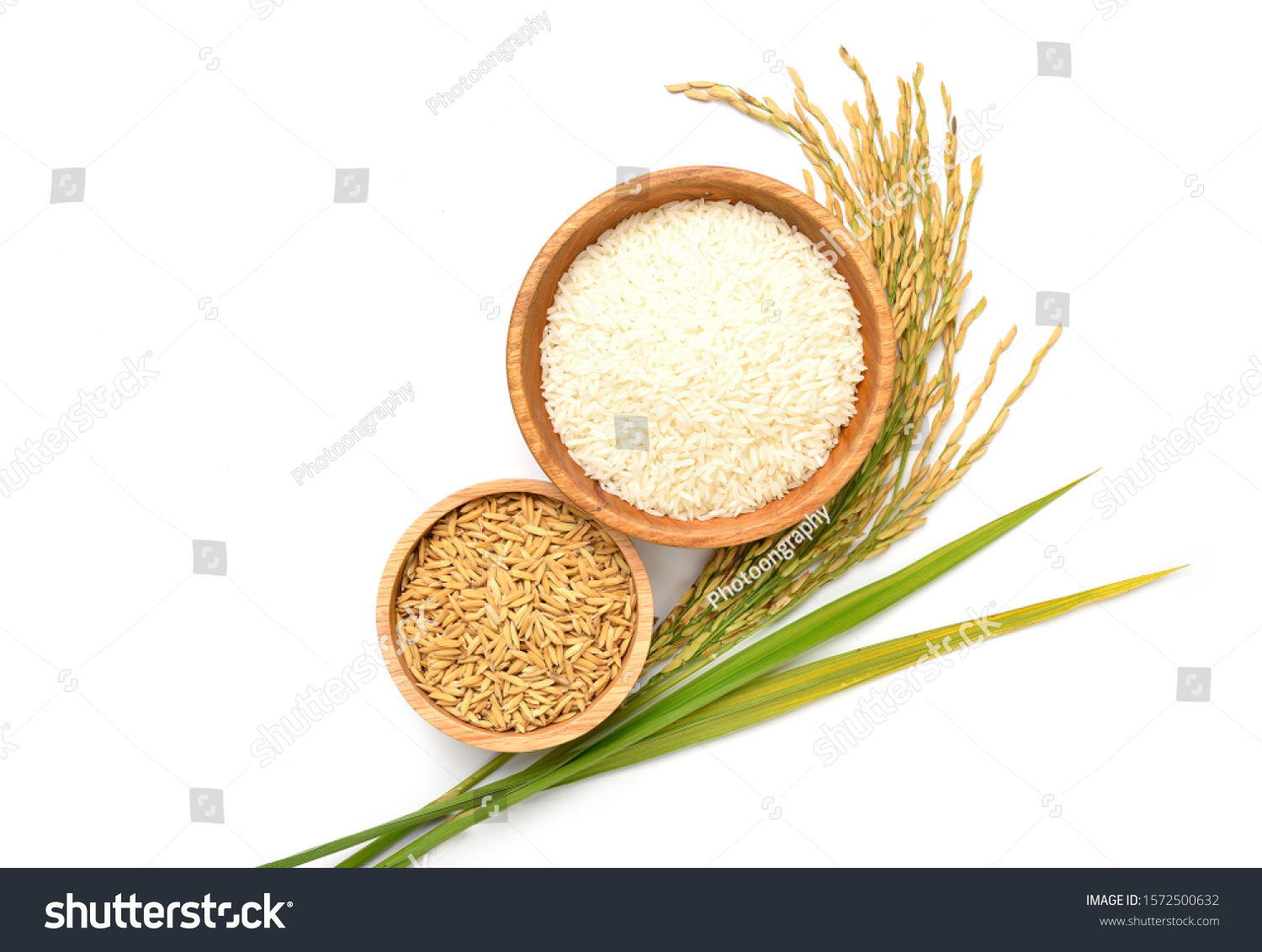 Flat lay (Top view) of white rice and paddy rice in wooden bowl with paddy rice ears and green blades isolated on white background. #1572500632