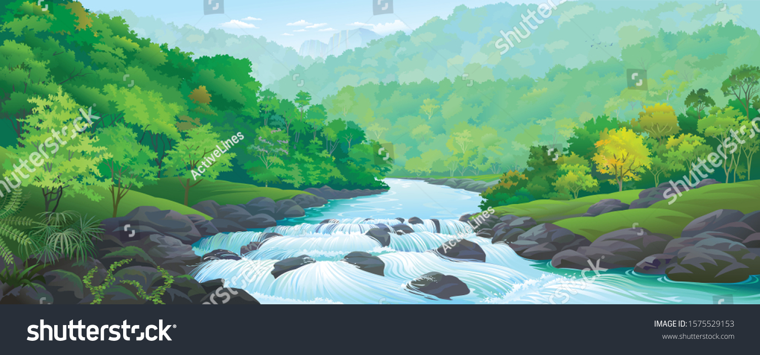 A river stream flowing across thick green forest