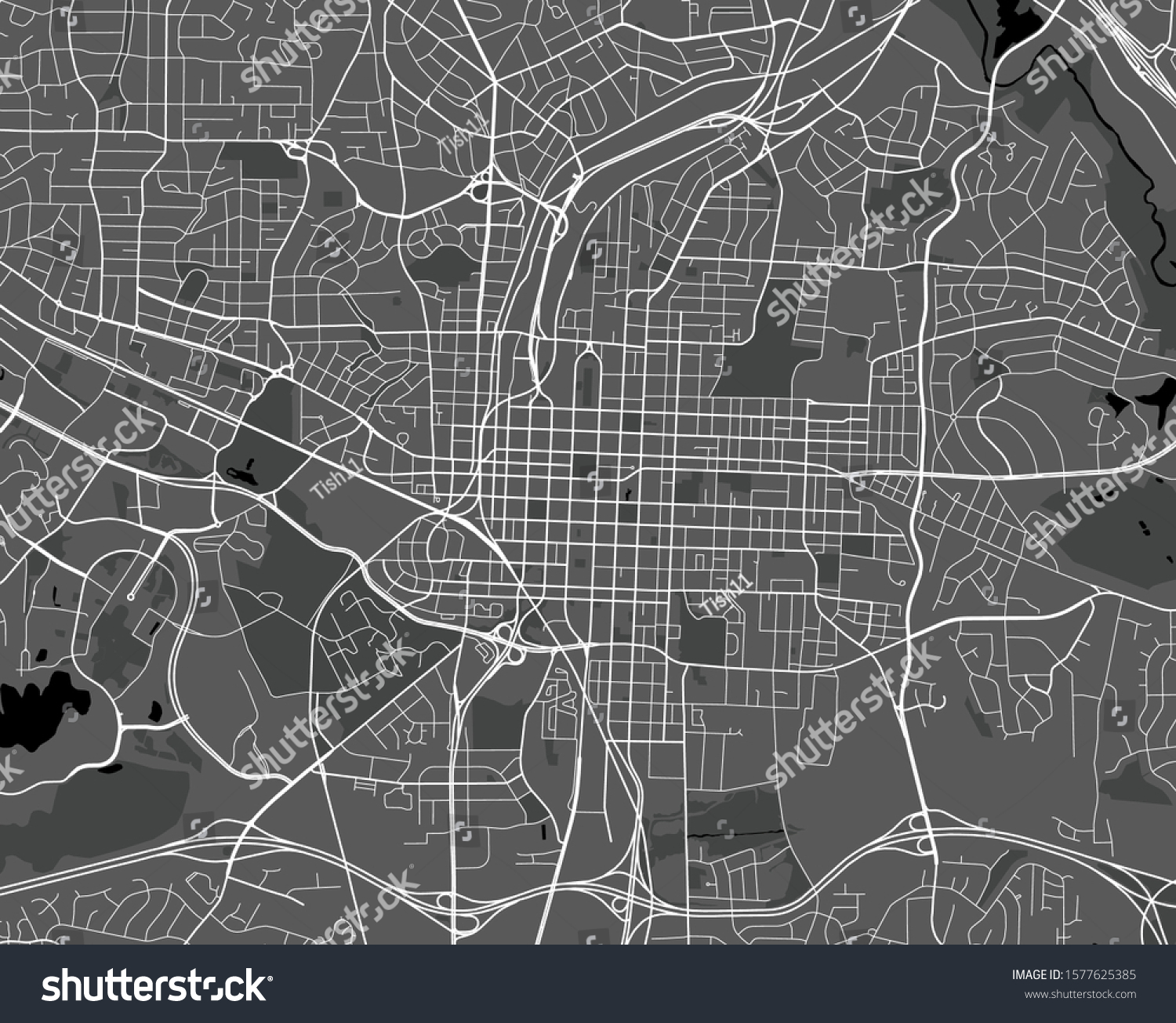 vector map of the city of Raleigh, North - Royalty Free Stock Vector ...