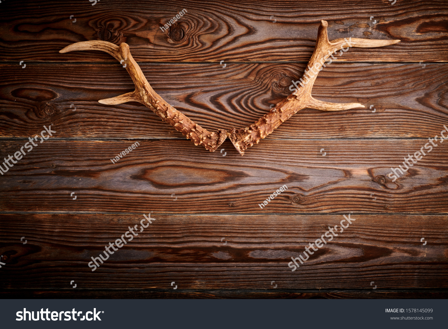 Deer antlers on vintage wooden background. Hunting concept.  #1578145099