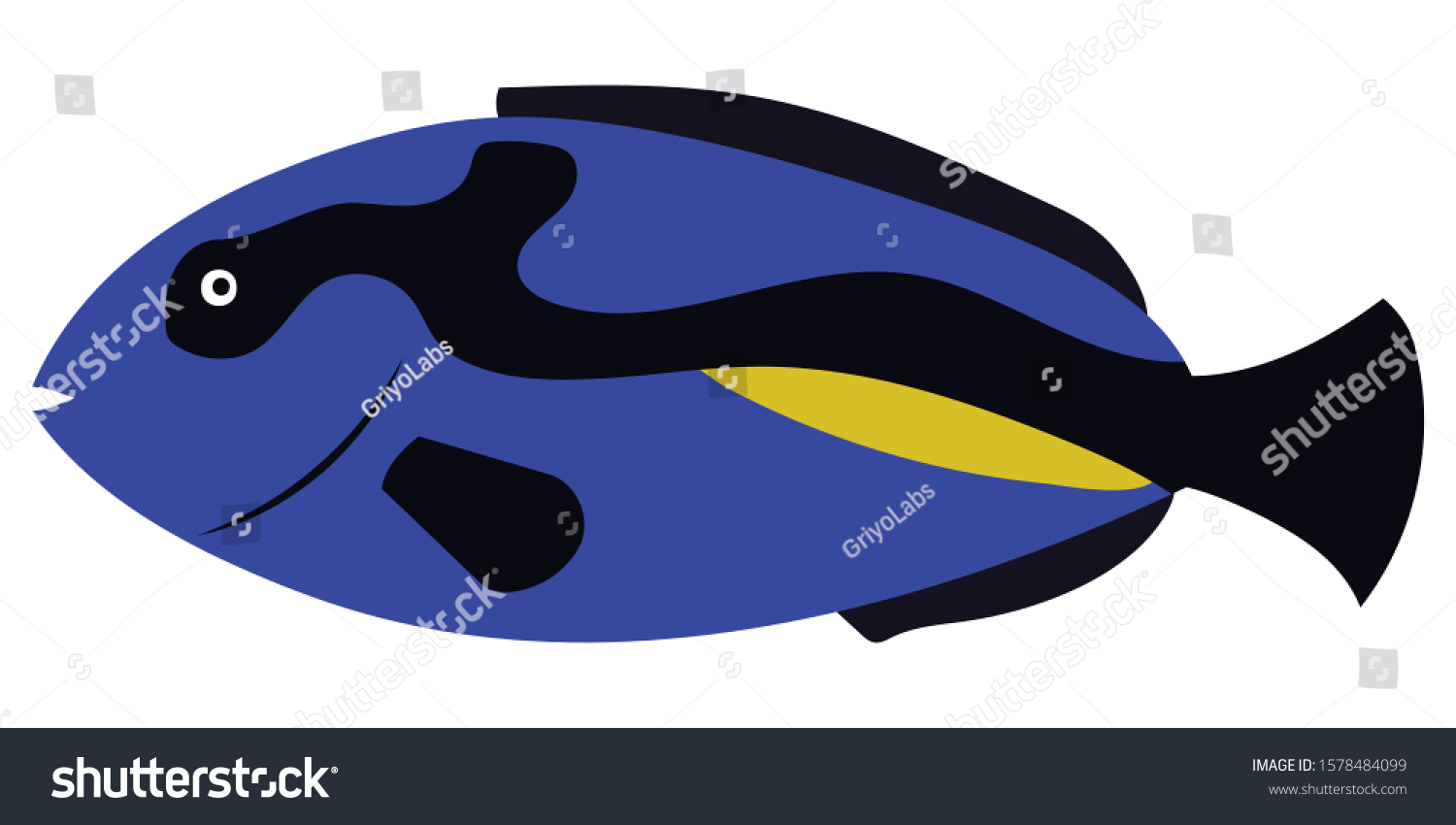 Cartoon Illustration Blue Tang fish isolated on - Royalty Free Stock ...