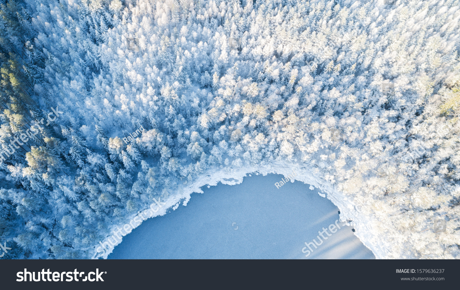 Аerial view of snow covered forest around beautiful lake. Rime ice and hoar frost covering trees. Scenic winter landscape near Helsinki, Finland. #1579636237