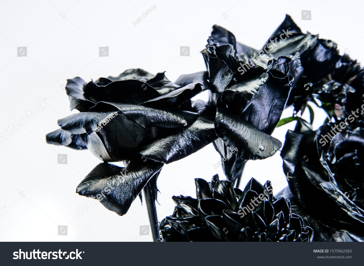 Metal flower. Forging and sculpture. Beautiful black silver flower. Metallic steel color. Floral shop. Flower covered metallic paint. Abstract art. Eternal beauty. Fashion bouquet. Botany concept. #1579962583