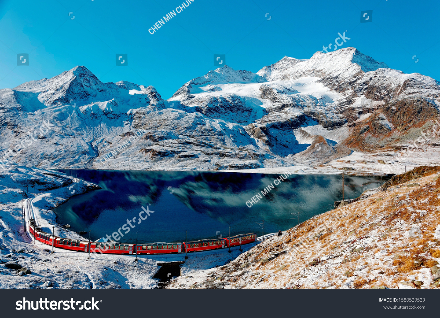 A Bernina Express train traveling along the lake shore of Lago Bianco and Piz Cambrena towering under blue sky in background after a snowfall in autumn, near Ospizio Bernina, in Grisons, Switzerland #1580529529