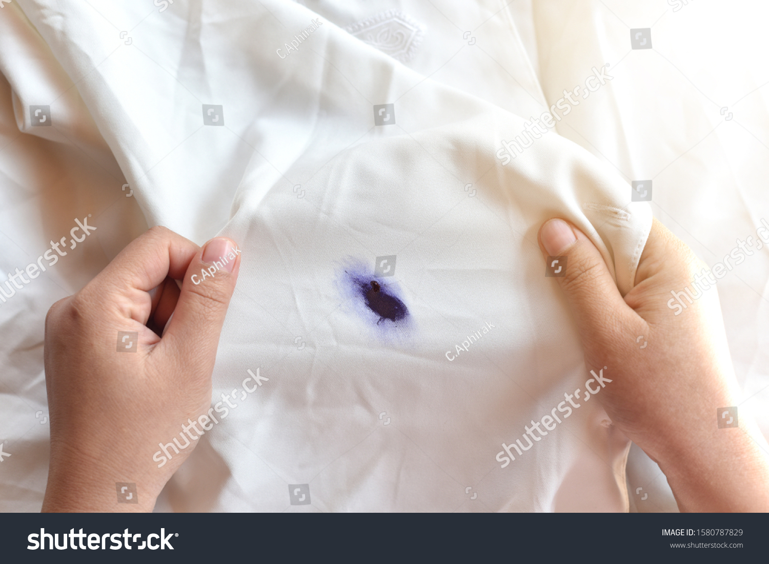 Dirty pen ink  stain on fabric from accident in daily life. Concept of cleaning stains on clothes or cleaning the house. Selected focus #1580787829