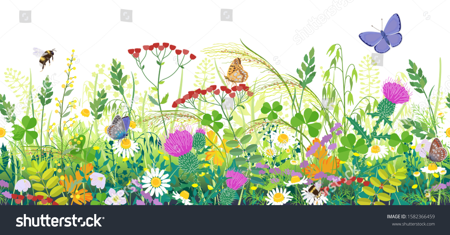 Seamless horizontal border with summer meadow plants and insects. Green grass, colorful wild flowers, bumblebees and butterflies on white background. Floral natural pattern vector flat illustration. #1582366459