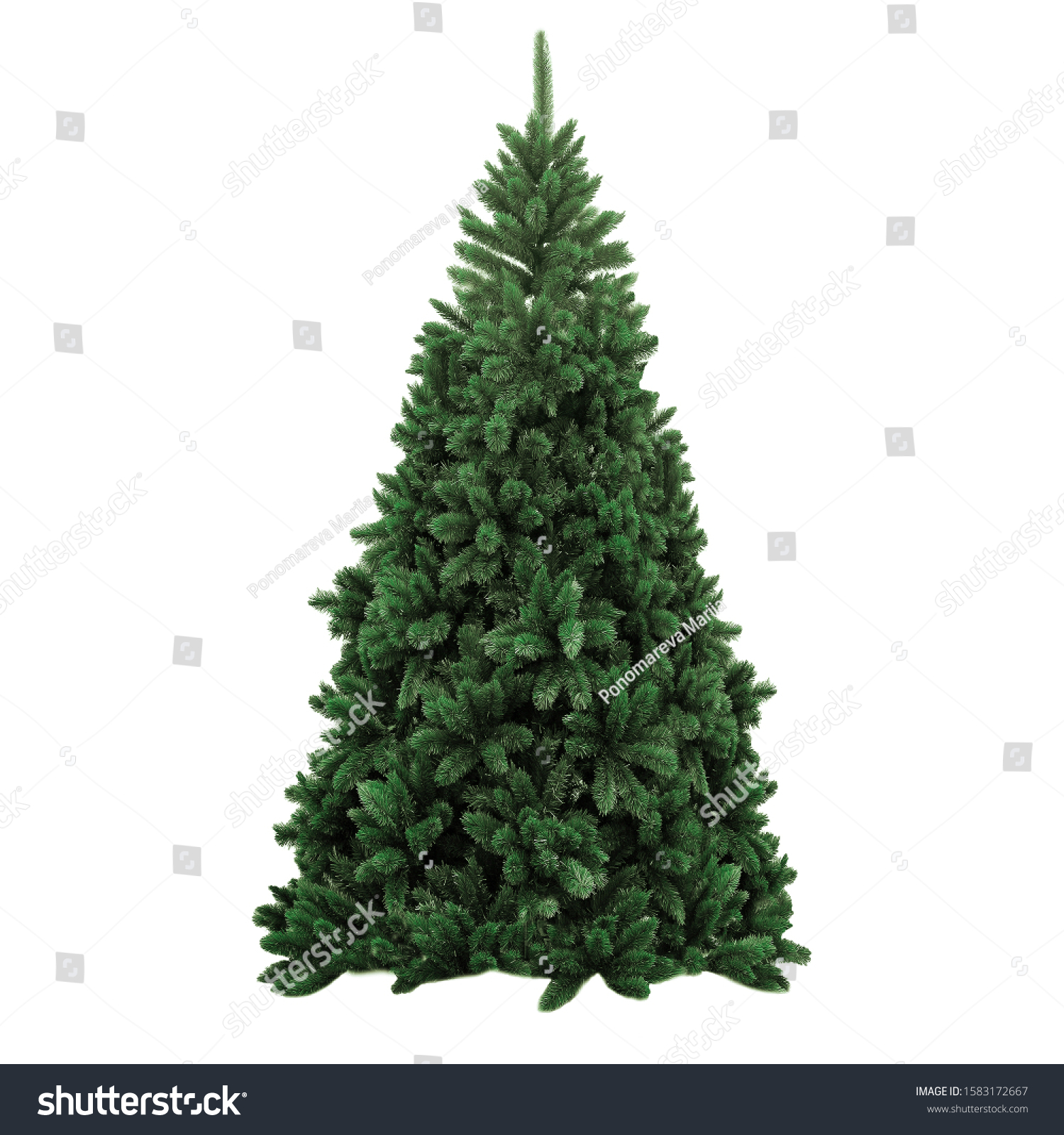 Christmas tree on a white background without decorations #1583172667
