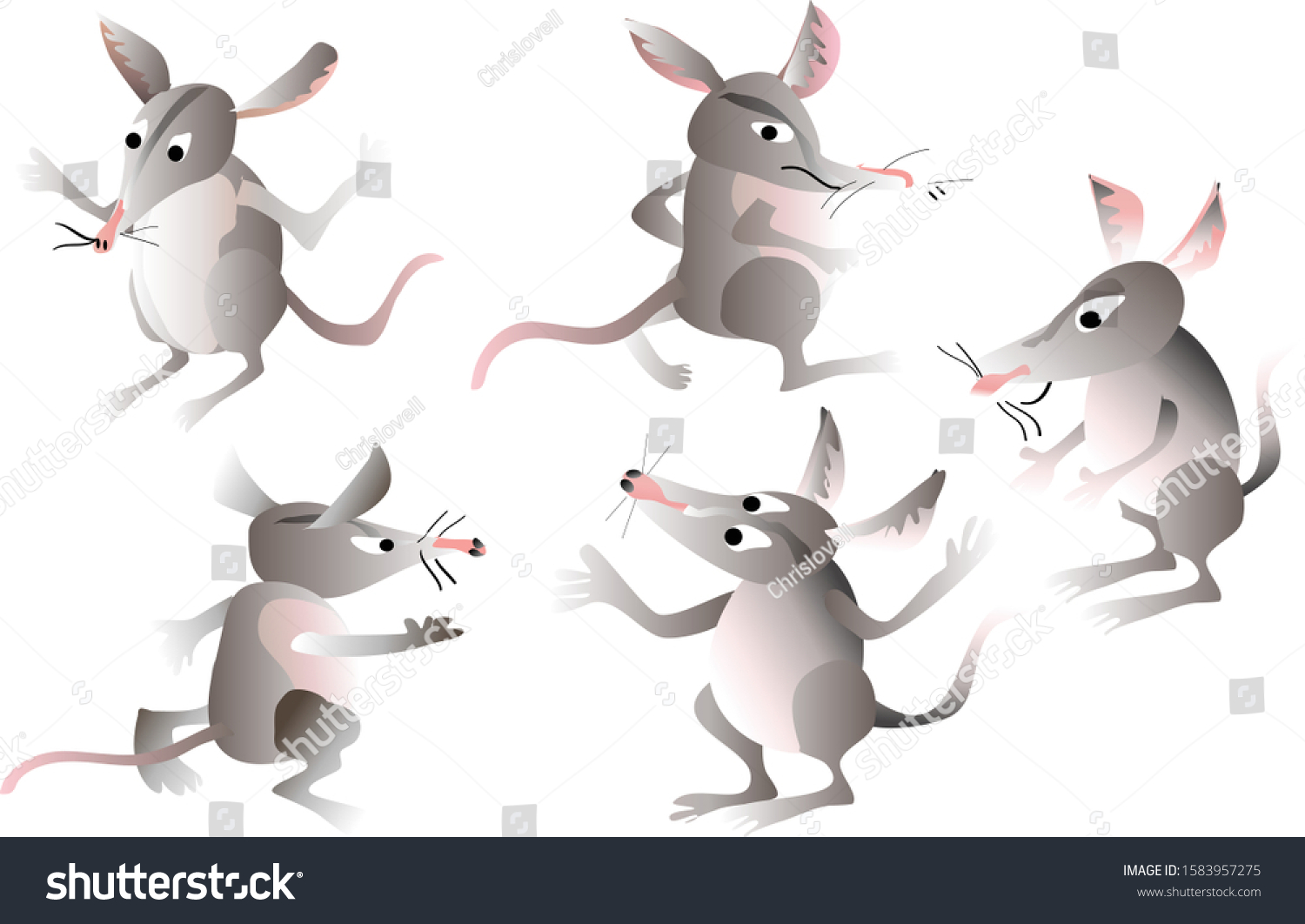 Vector cartoons of Bilbies in different poses - Royalty Free Stock ...