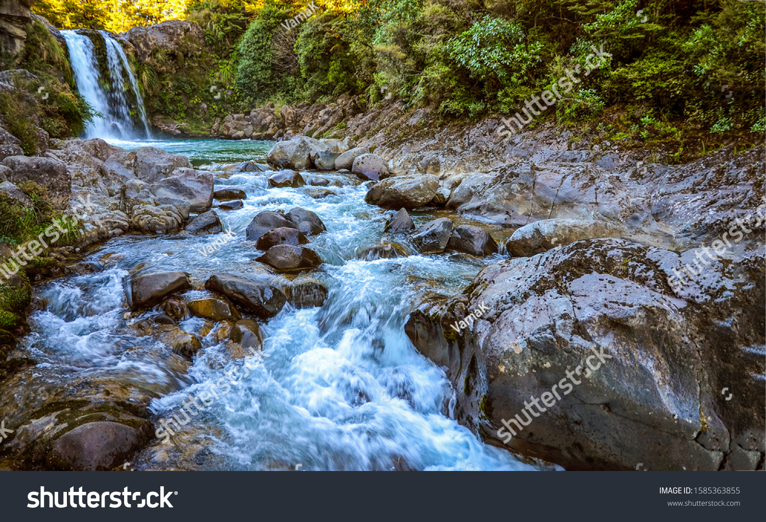 River stream waterfall in forest landscape #1585363855