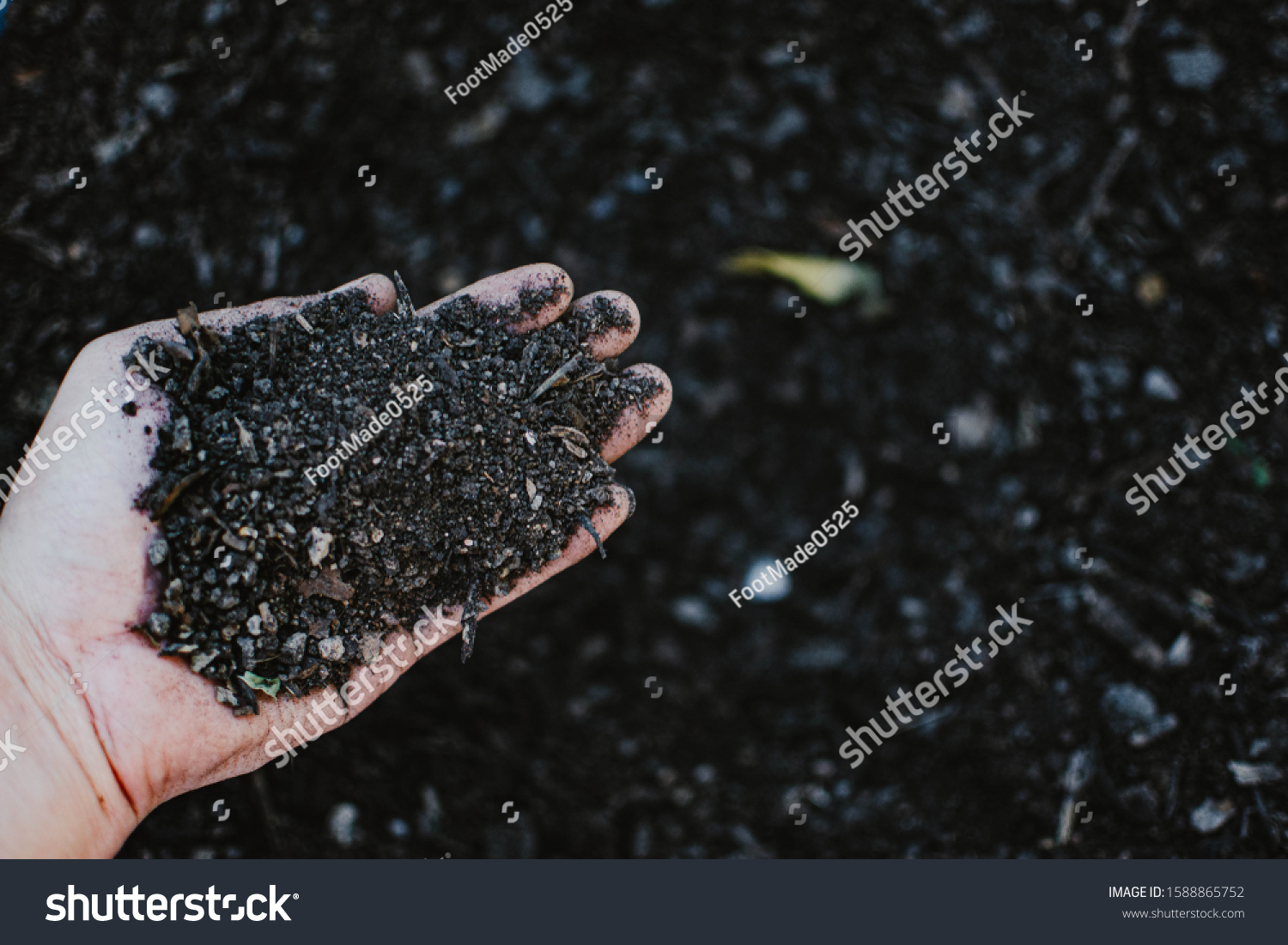 Farmer hands holding soil or organic fertilizer. Organic fertilizer for organic fruits and vegetables. Symbol of agriculture and ecology concept. #1588865752
