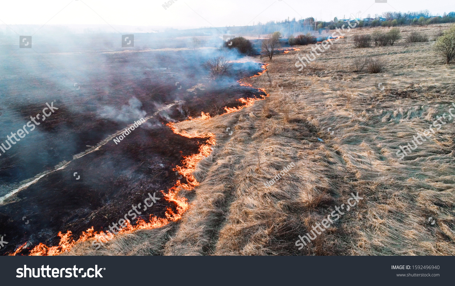 Forest and field fire. Dry grass burns, natural disaster. Aerial view. Strong fire in an empty field, strong smoke from a burning place. Flying over a fire at low altitude. #1592496940