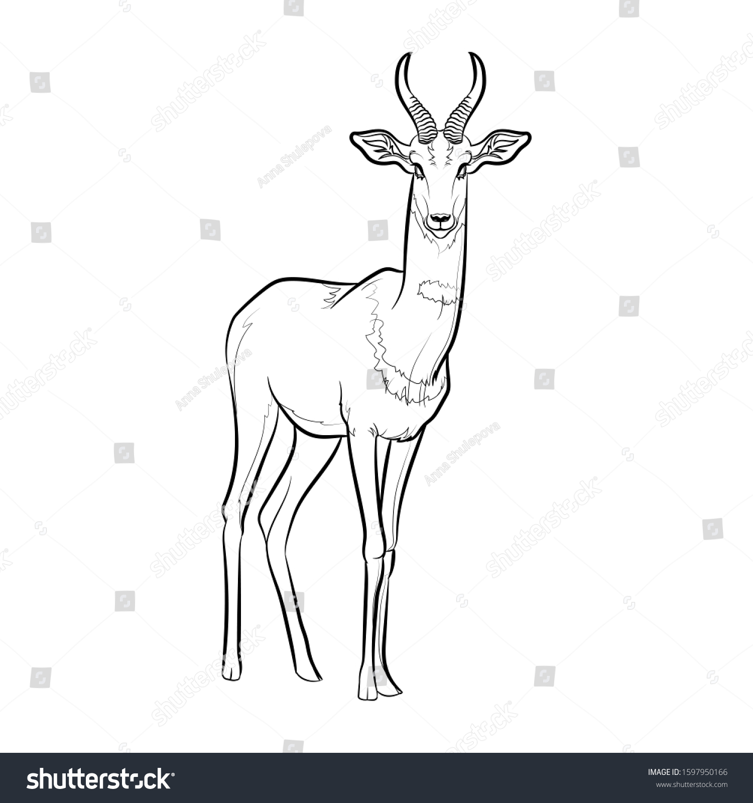 Dama Gazelle Line Drawing Black And White Royalty Free Stock Vector