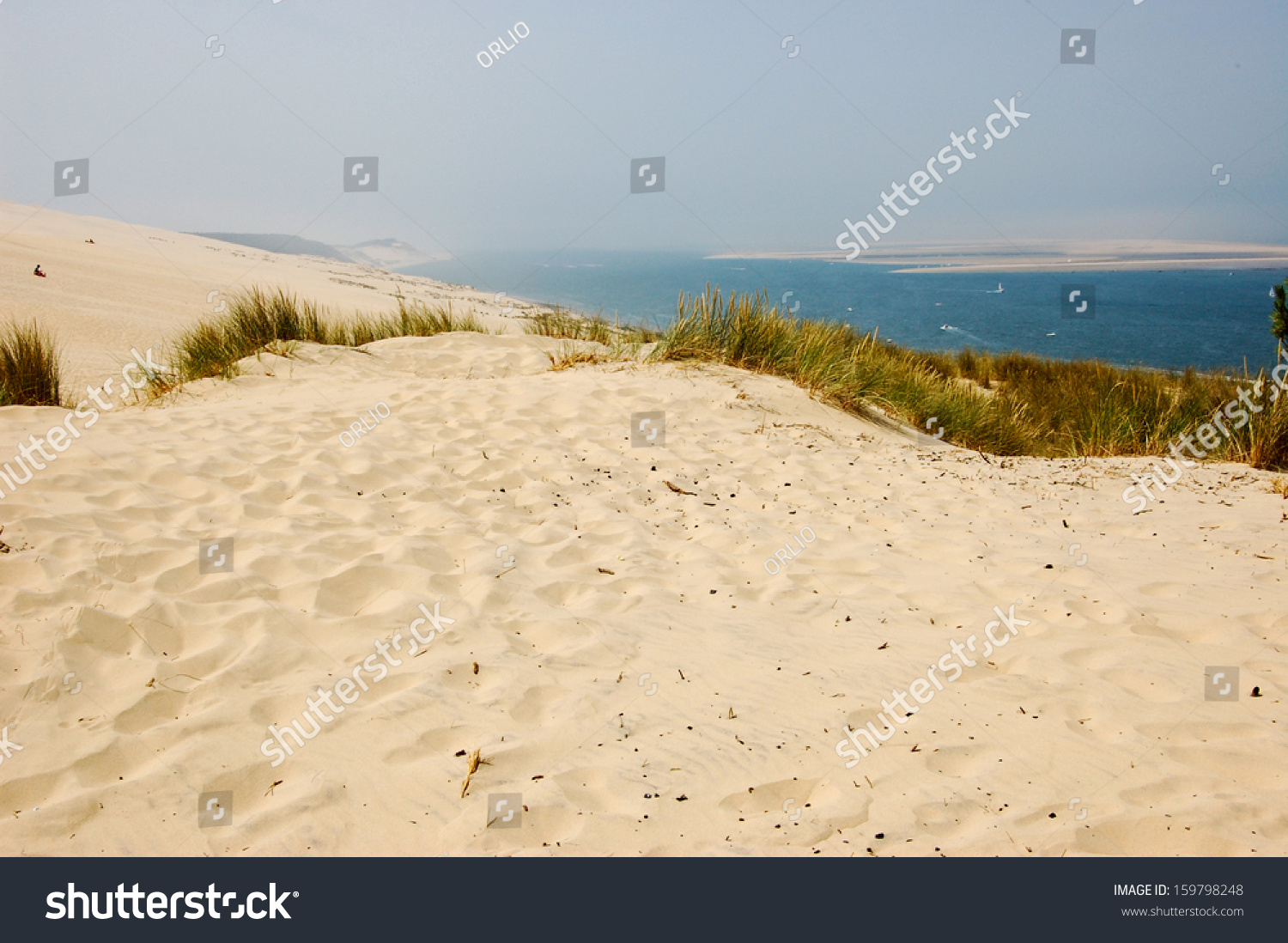 Sand beach in Arcachon , dune of pyla #159798248