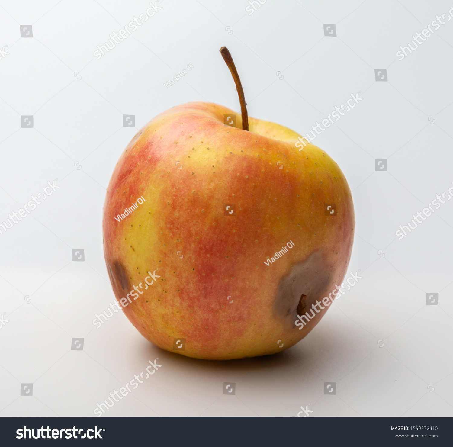 wormy rotten Apple on a white background #1599272410