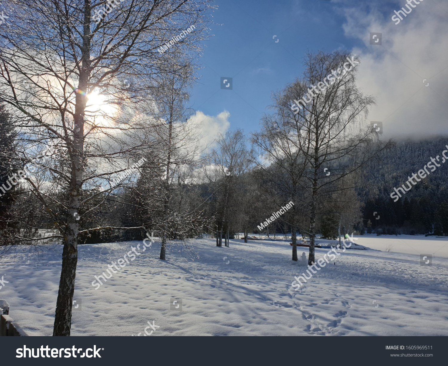 fairytale winter landscape at the wildsee near seefeld in tirol #1605969511