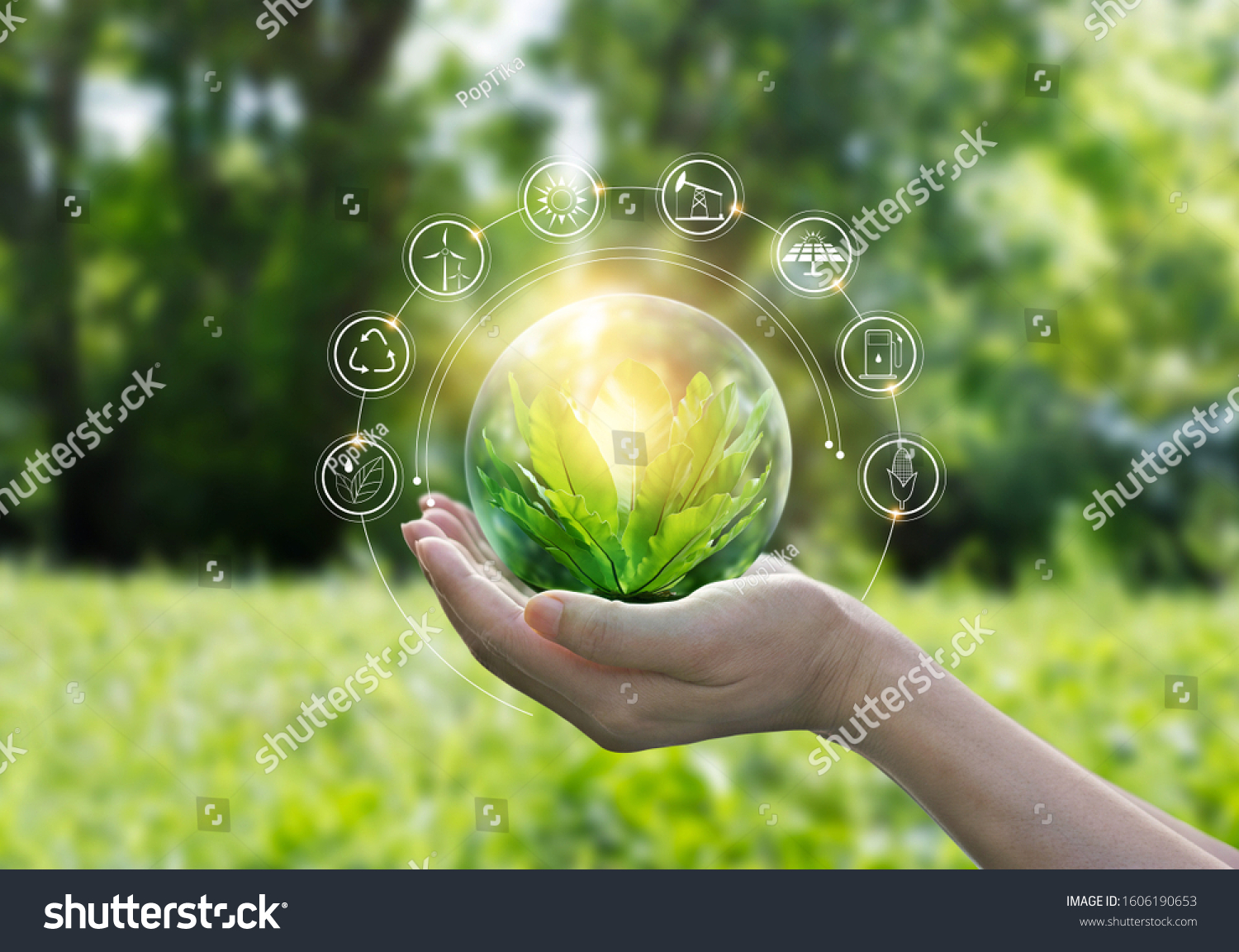 
Hands protecting globe of green tree on tropical nature summer background, Ecology and Environment concept #1606190653