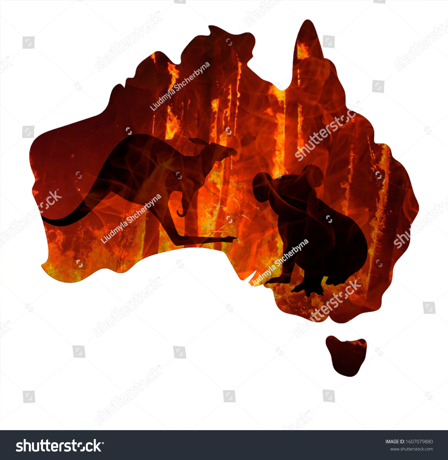 Fire in Australia. Animals killed in Fiers. Catastrophe and apocalypse. Pray for Australia #1607079880