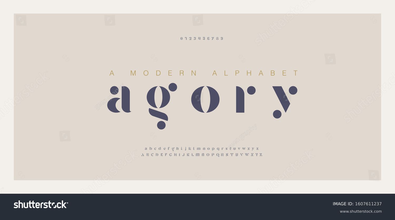 Elegant awesome alphabet letters font and number. Classic Lettering Minimal Fashion Designs. Typography fonts regular uppercase and lowercase. vector illustration #1607611237