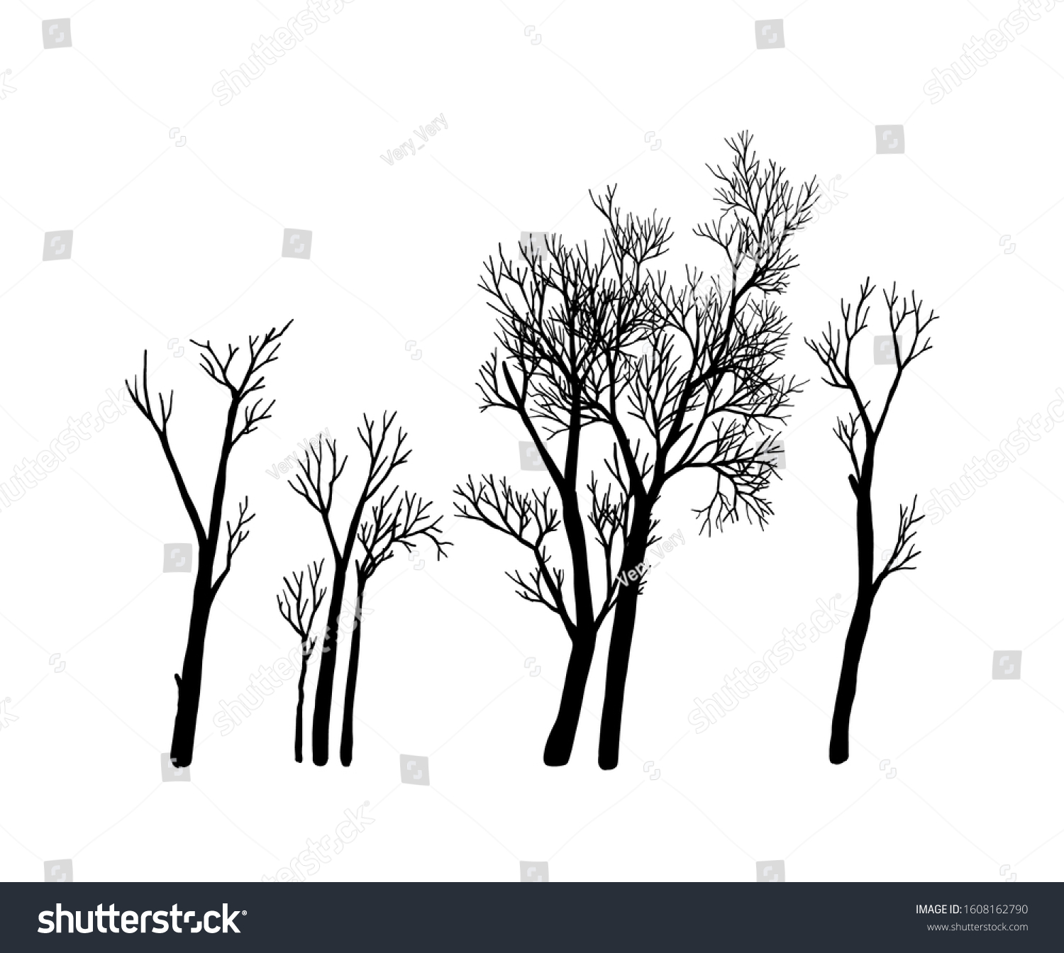 Naked Trees Silhouettes Set Hand Drawn Isolated Royalty Free Stock Vector Avopix Com