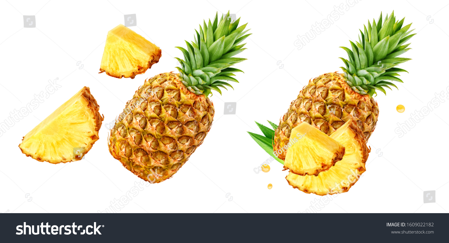 Fresh ripe pineapple fruit, pineapple fruit slices isolated. Juicy fruit design elements composition with focus stacking, white background. Tasty raw whole tropical fruit, healthy nutrition concept #1609022182