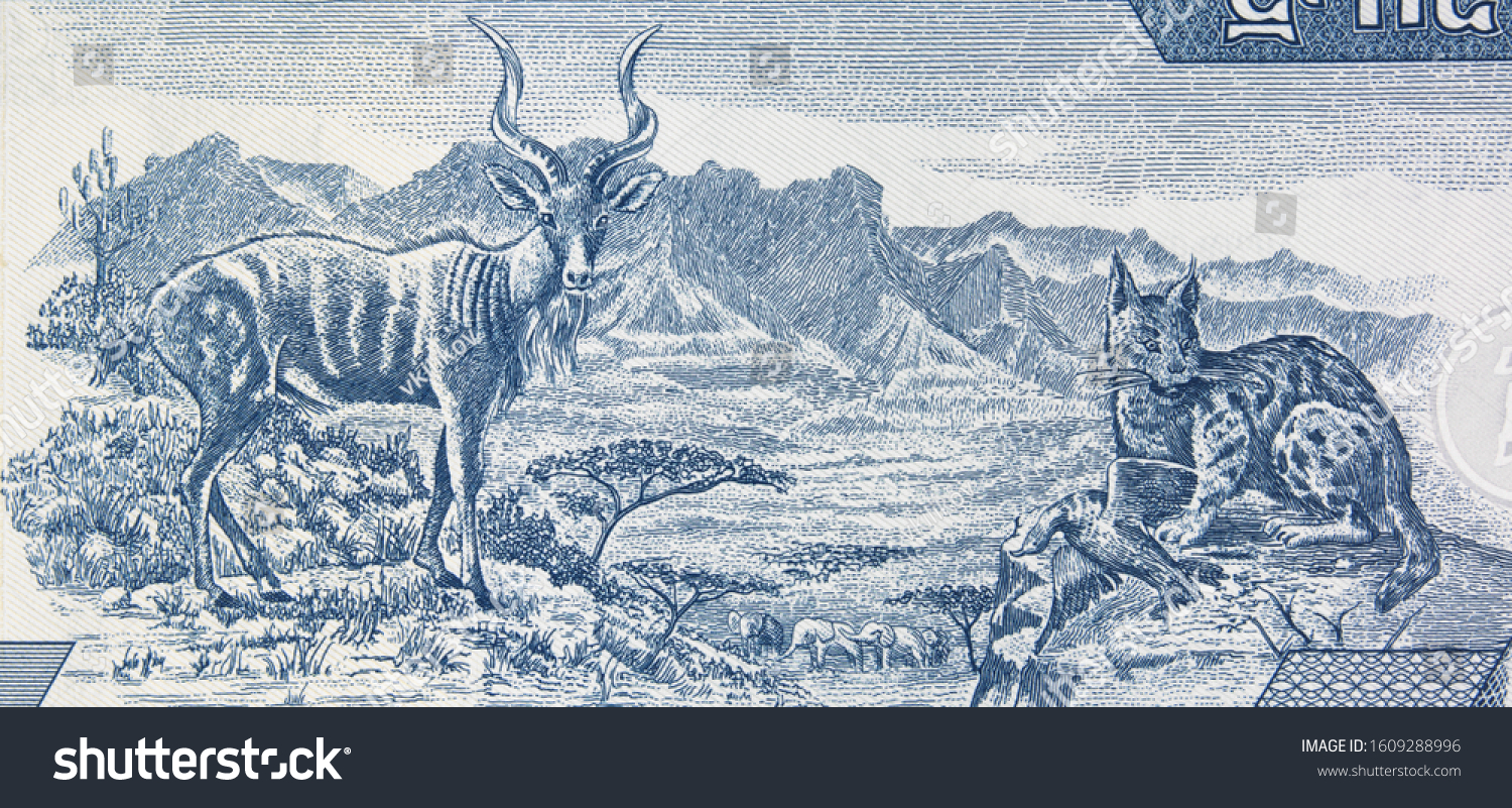 Kudu and caracal in Semien Mountains in Ethiopia on Ethiopian 5 birr note.
 #1609288996