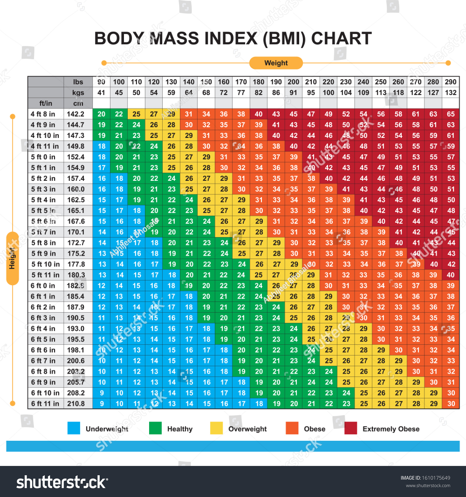 Body Mass Index Bmi Chart Royalty Free Stock Vector 1610175649 4079