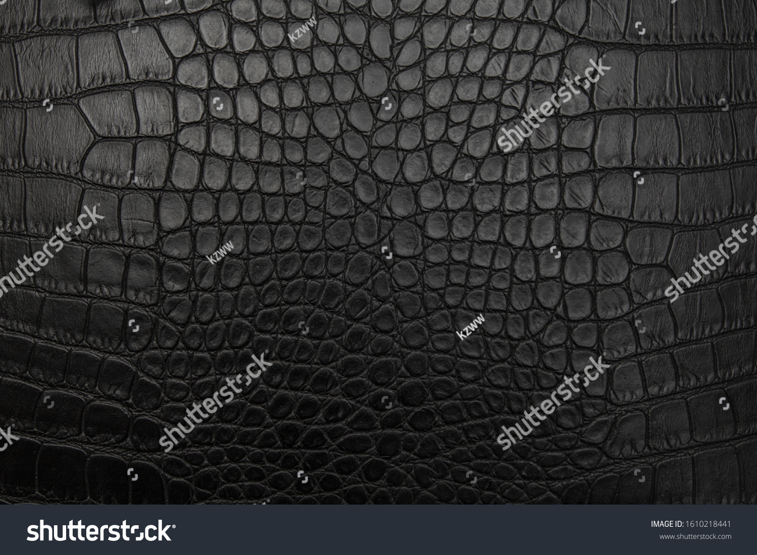 Black crocodile skin, background, texture. #1610218441
