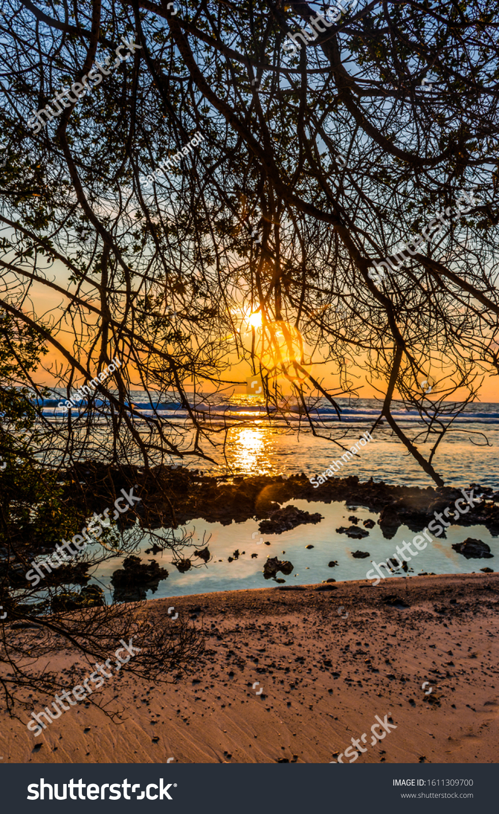 Amazing beach Sunrise view through Tree branches, Beautiful image from Funadhoo Maldive island Best place to visit  #1611309700
