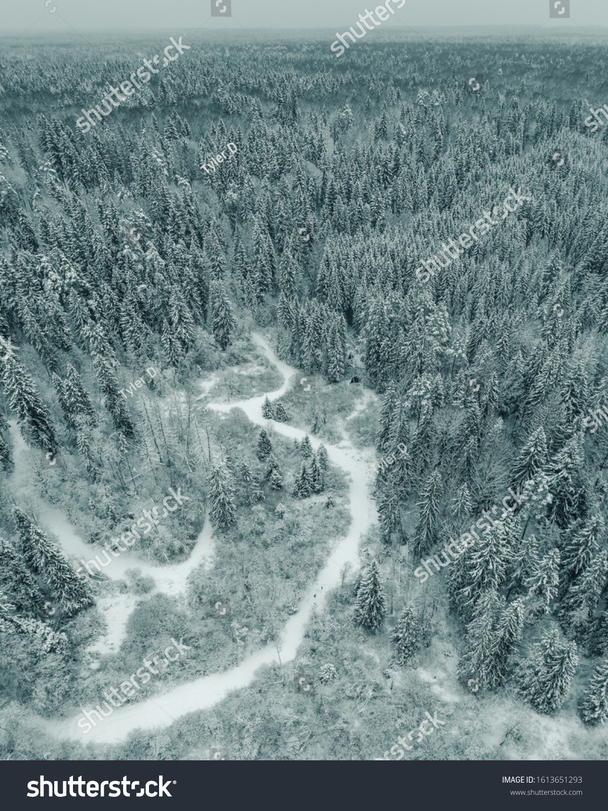 Curvy windy road in snow covered forest. Drone aerial panoram #1613651293