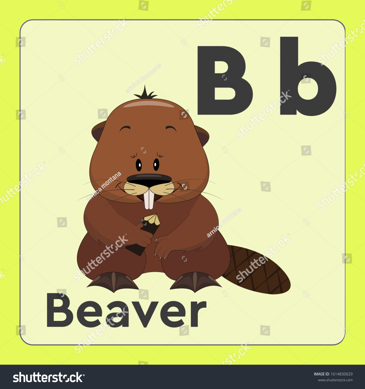 Alphabet Flashcards With Animals And English - Royalty Free Stock ...