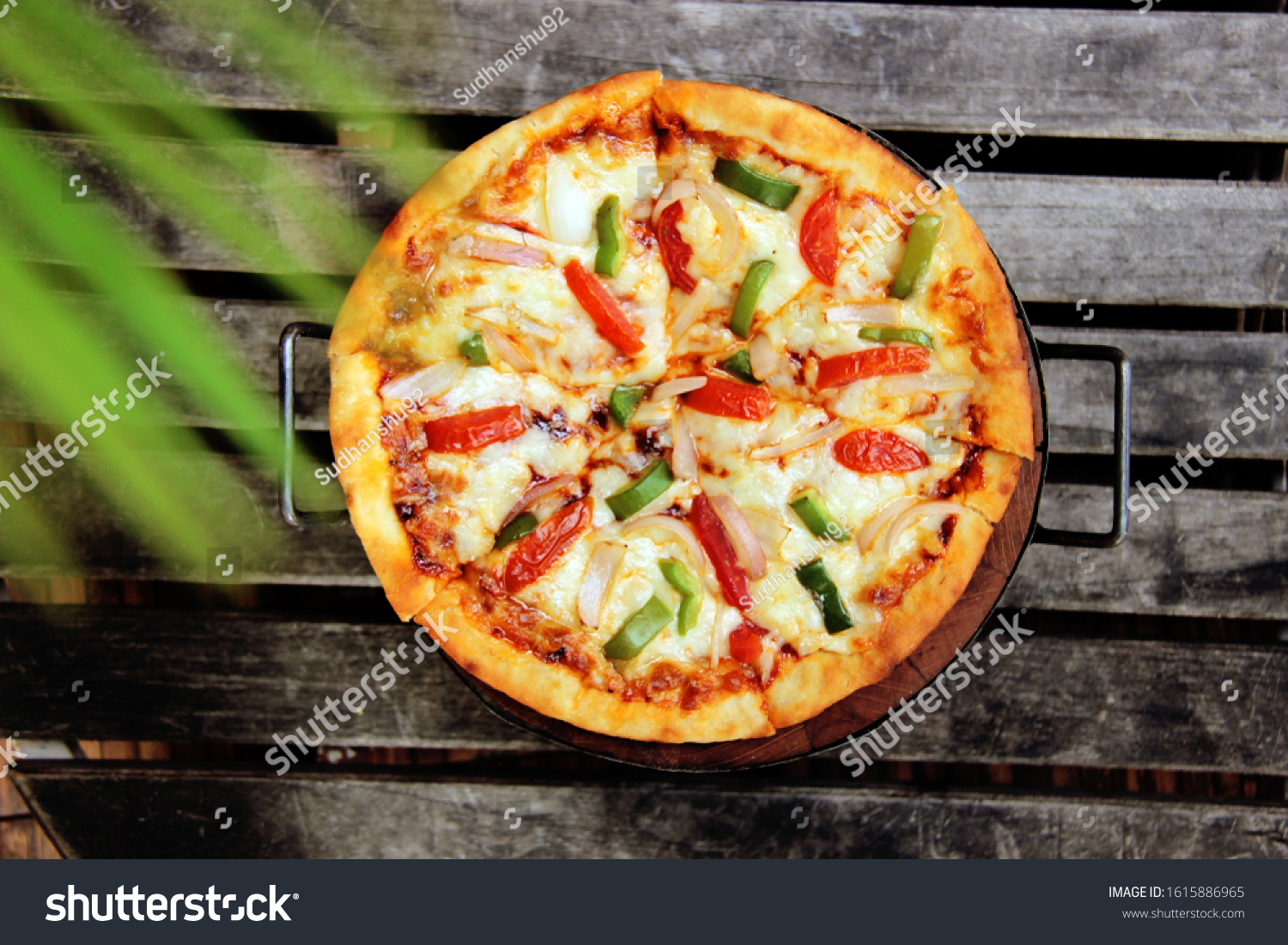 Tasty Gourmet pizza with beautiful back ground #1615886965