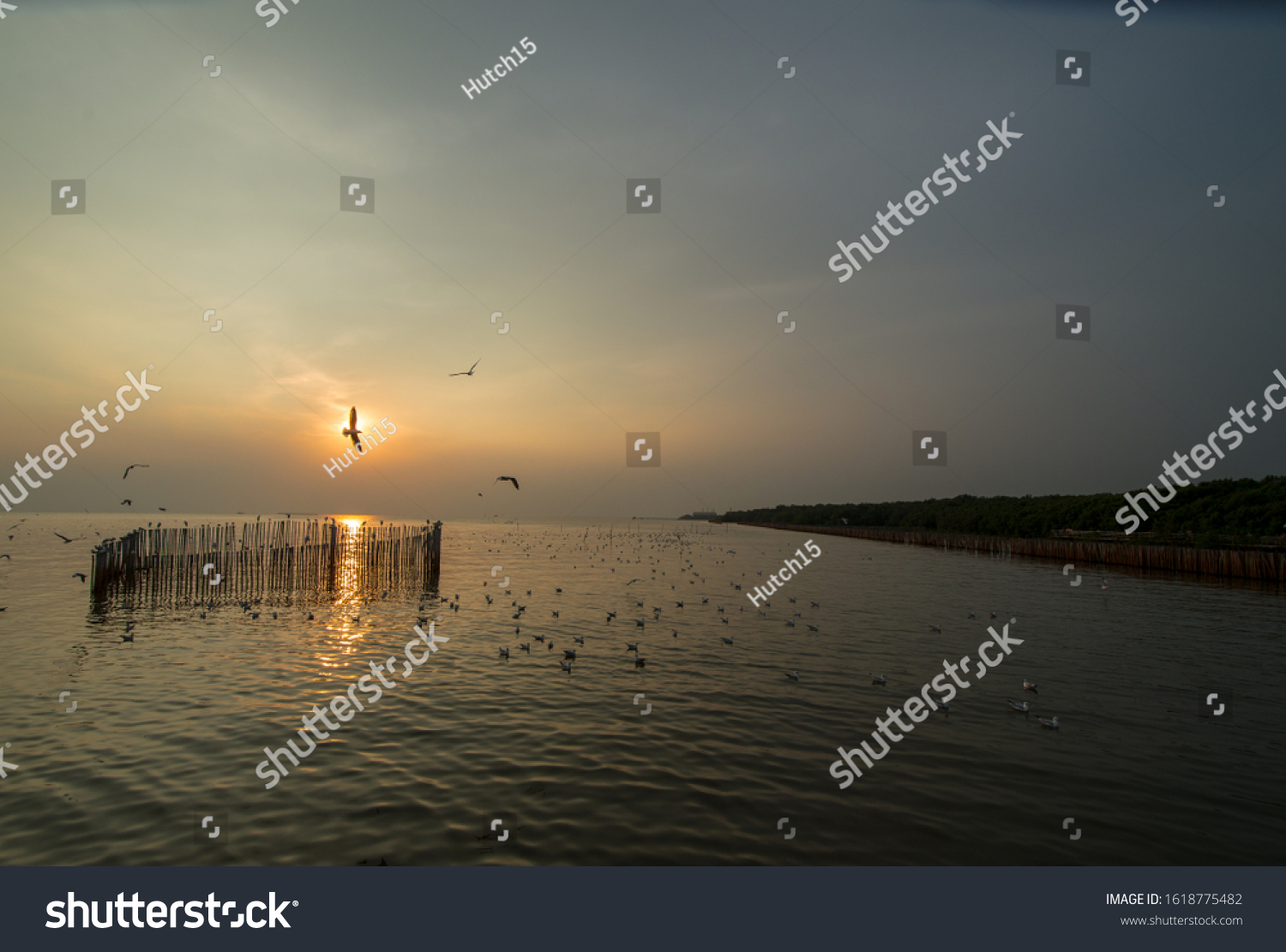 Sunset sea horizon landscape. Seagull silhouette sunset sea horizon. Sunset sea horizon view. Sunset horizon sea #1618775482