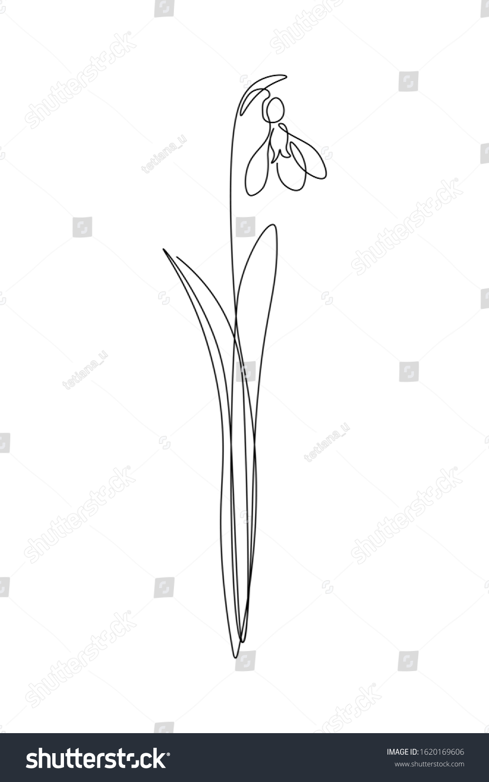 Spring snowdrop flower in continuous line art - Royalty Free Stock ...