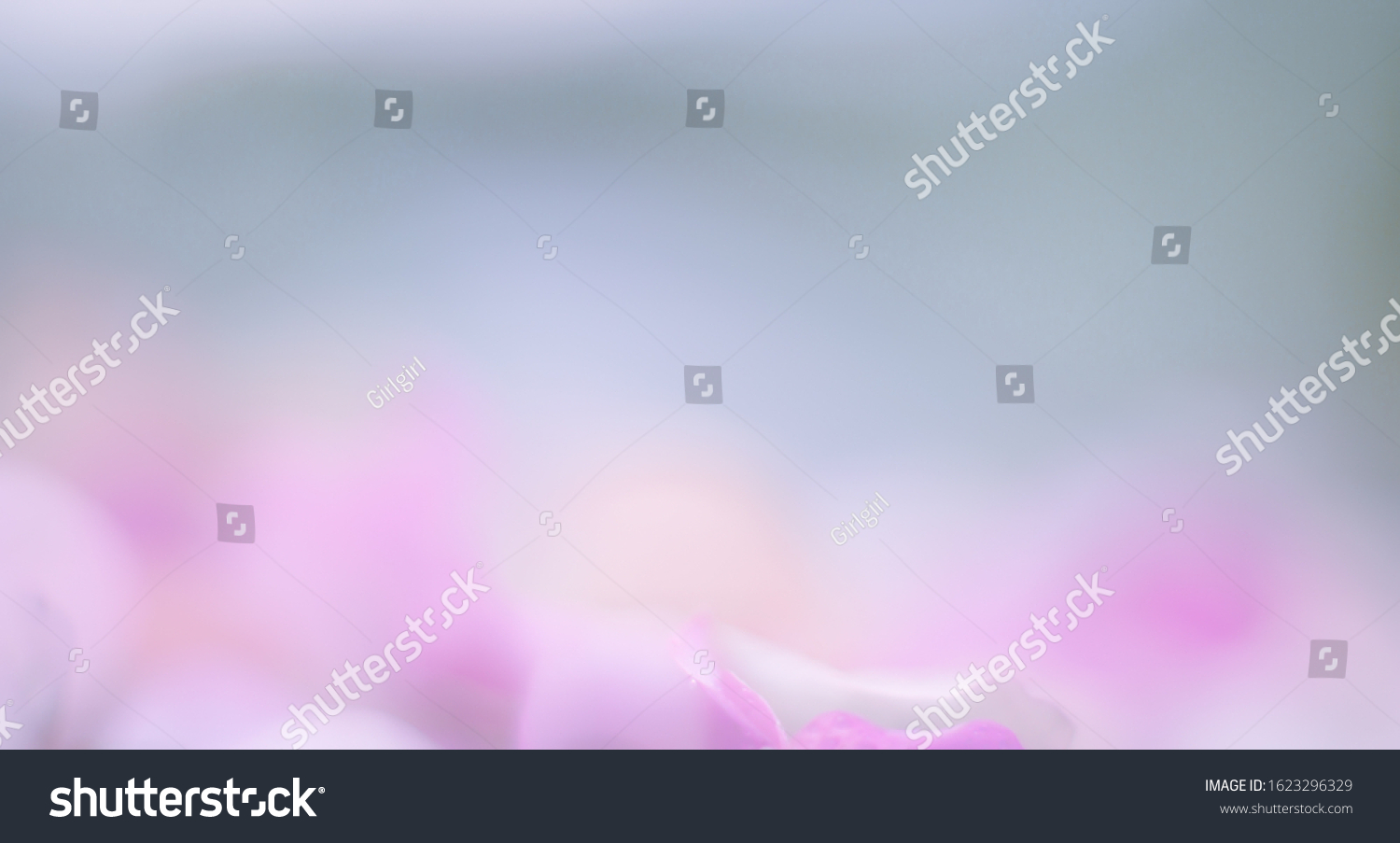Blurred background with soft, soft colors. This is a photo taken from flowers of nature. #1623296329