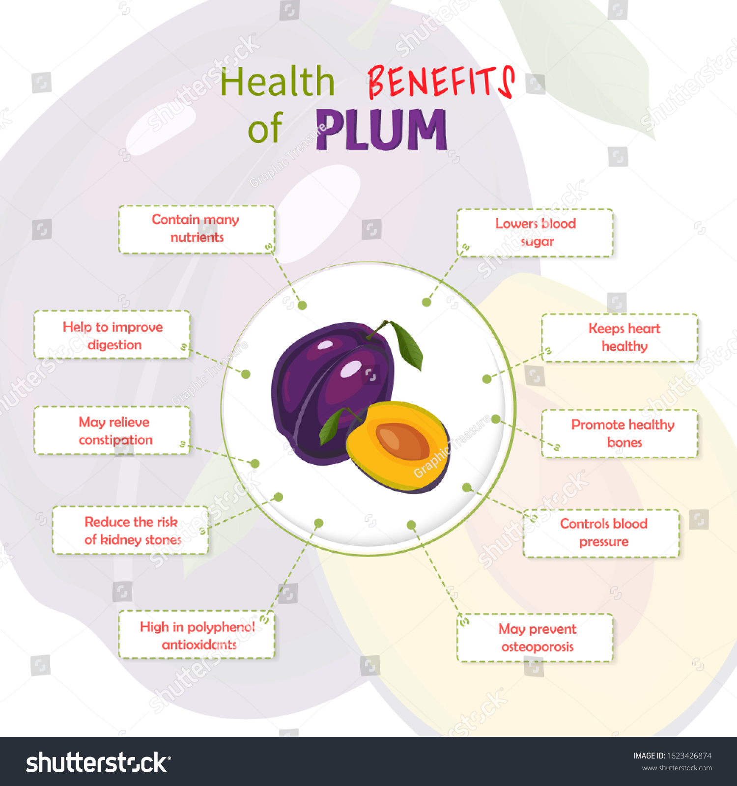 Health Benefits Of Plum Plums Nutrients Royalty Free Stock Vector 1623426874 5075