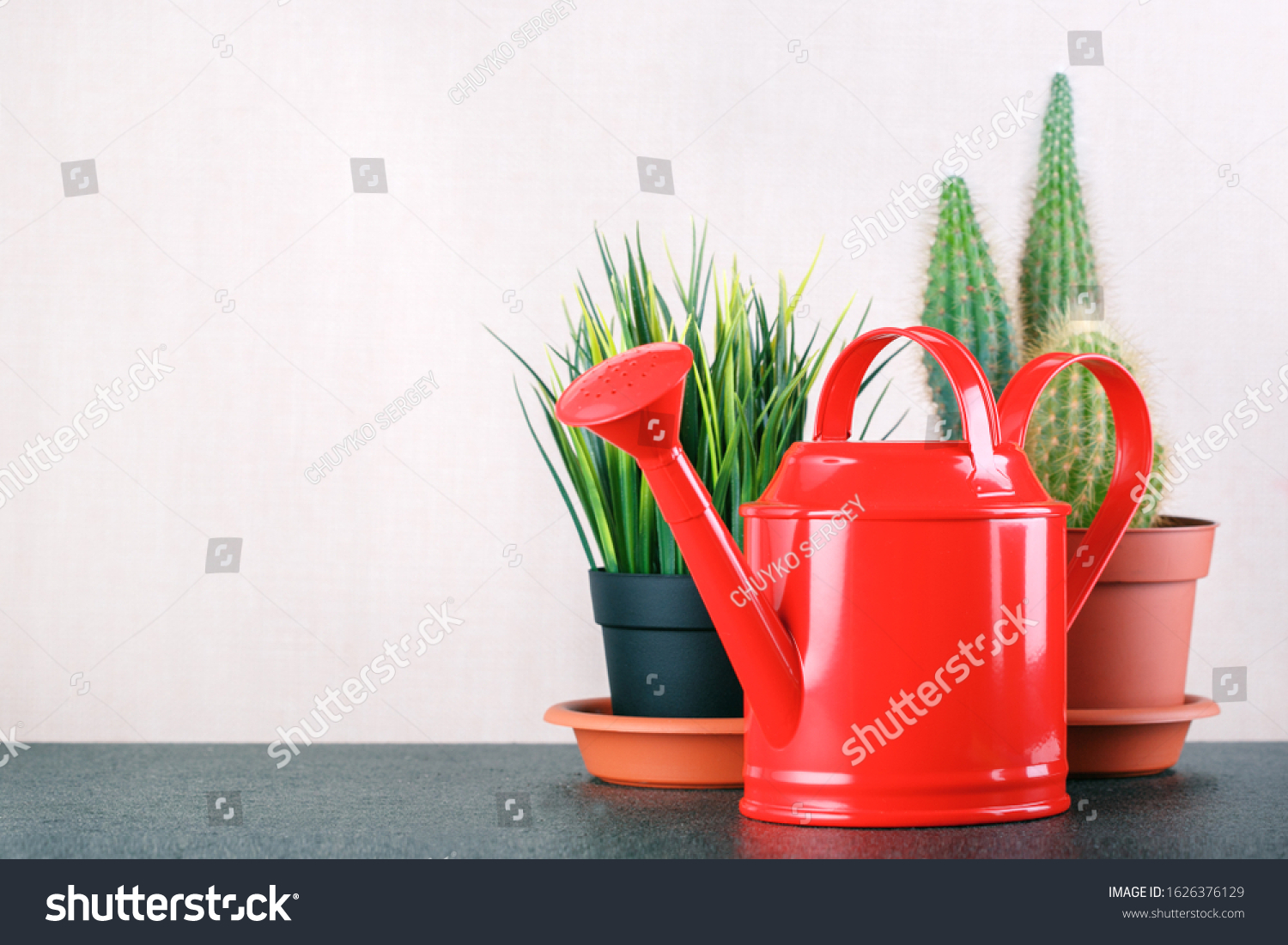  Caring for indoor plants. Indoor Plan and tool on table with copy space. #1626376129